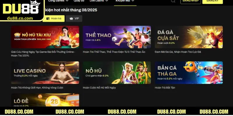 Tổng quan về hoàn trả cao mỗi ngày